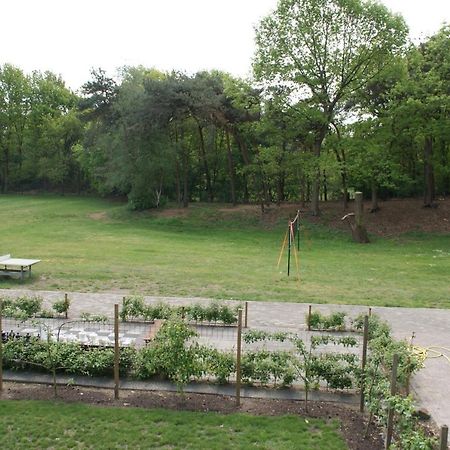 Vakantieboerderij 'T Zand - Appartement Heeswijk-Dinther エクステリア 写真